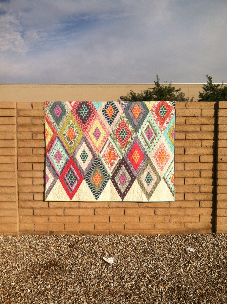 fox-field-mystery-quilt-complete-quiltineering